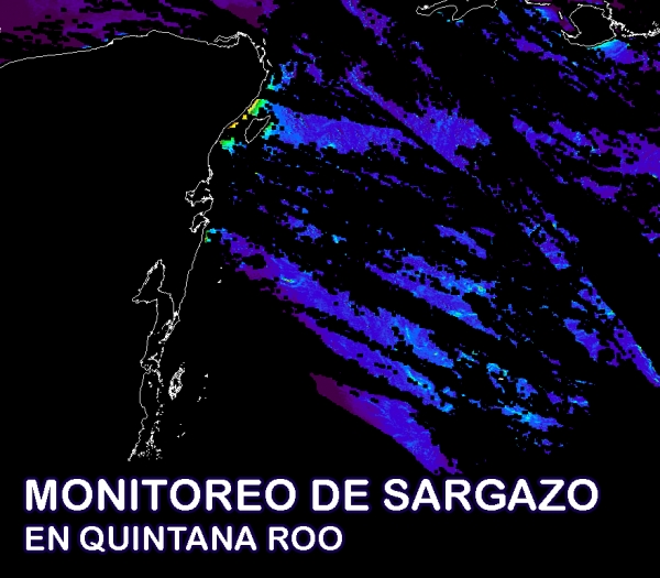 Monitoreo de Sargazo en el Estado de Quintana Roo por SAQROO